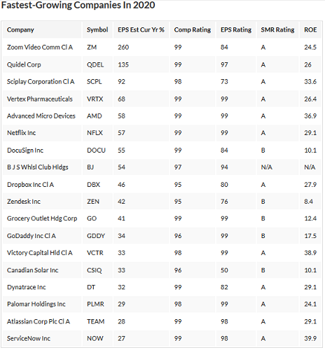 Fastest Growing Growth Stocks 2020