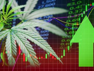 Marijuana Stocks