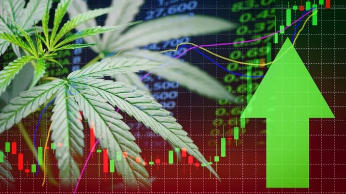 Marijuana Stocks