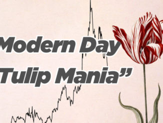 Modern Day Tulip Mania