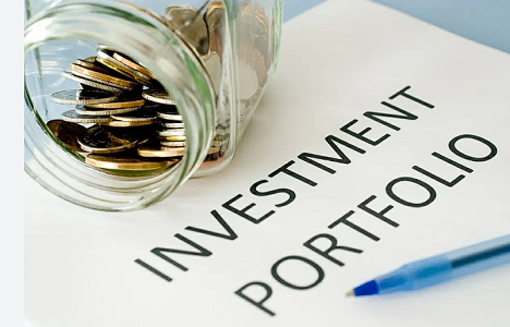 Investment Portfolio