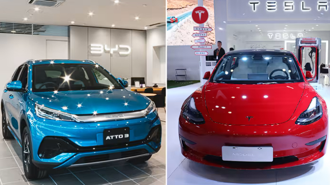 BYD China Versus Tesla